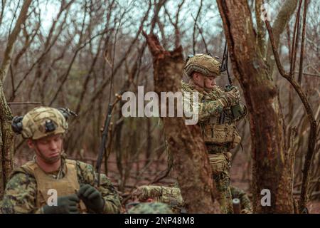 Hijudai, Japan. 24. Februar 2023. USA Marines von Battalion Landing Team 1/4, 31. Marine Expeditionary Unit, bereiten Sie Funkverbindungen vor, bevor Sie ein beidseitiges Live-Fire Training mit Soldaten des 1. Regimental Landing Teams, Japan Ground Self-Defense Force, während Iron Fist 23 in Hijudai, Japan, im Februar, vorbereiten. 24, 2023. Die beidseitige Feuerschulung wurde durchgeführt, um die Fähigkeit zur beidseitigen Taktik in Verbindung mit Manöverelementen während der Iron Fist 23 aufrechtzuerhalten. Iron Fist ist eine jährliche bilaterale Übung, die darauf abzielt, die Interoperabilität zu erhöhen und die Beziehungen zwischen den beiden zu stärken Stockfoto