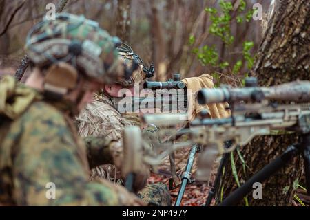 Hijudai, Japan. 24. Februar 2023. USA Marines von Battalion Landing Team 1/4, 31. Marine Expeditionary Unit, bieten während des bilateralen Live-Fire Trainings mit Soldaten des 1. Regimental Landing Team, Japan Ground Self-Defense Force während Iron Fist 23 in Hijudai, Japan, im Februar Unterdrückungsfeuer. 24, 2023. Die bilaterale Live-Fire-Schulung wurde durchgeführt, um die Fähigkeit der bi-lateralen Taktik in Verbindung mit Manöverelementen während der Iron Fist 23 aufrechtzuerhalten. Iron Fist ist eine jährliche bilaterale Übung, die darauf abzielt, die Interoperabilität zu erhöhen und die Beziehungen zwischen den USA zu stärken Stockfoto