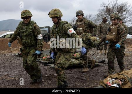 Hijudai, Japan. 19. Februar 2023. USA Marinekorpse der 31. Marineexpeditionstruppe und Soldaten der 1. Amphibien-Einsatzregiment, Japan, bodengestützte Selbstverteidigungseinheit, tragen ein simuliertes Opfer auf einer Trage während einer Massenübung von Verletzten in Hijudai, Japan, am Februar. 19, 2023. Das Training simulierte ein Massenunfallereignis, das dem beidseitigen medizinischen Team die Möglichkeit gab, während der Iron Fist 23 unter genau simulierten Druck und Bedingungen aktiv medizinische Versorgung vor Ort zu praktizieren. Iron Fist ist eine jährliche bilaterale Übung zur Verbesserung der Interoperabilität Stockfoto