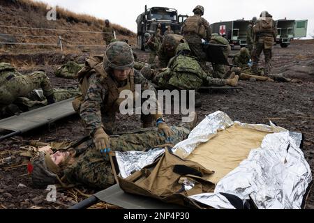 Hijudai, Japan. 19. Februar 2023. USA Marinekorpse mit der 31. Marineexpeditionstruppe und Soldaten mit dem 1. Amphibien-Schnelleinsatzregiment, Japan, bodeneigene Selbstverteidigungstruppe, führen während einer Massenübung in Hijudai, Japan am Februar bilaterale medizinische Operationen durch. 19, 2023. Das Training simulierte ein Massenunfallereignis, das dem beidseitigen medizinischen Team die Möglichkeit gab, während der Iron Fist 23 unter genau simulierten Druck und Bedingungen aktiv medizinische Versorgung vor Ort zu praktizieren. Iron Fist ist eine jährliche bilaterale Übung zur Verbesserung der Interoperabilität und Stockfoto