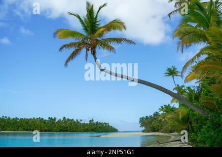 Die Kokospalme neigt sich über die idyllische Bucht auf der Südpazifikinsel der Cook Islands. Stockfoto