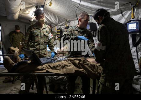 Hijudai, Japan. 19. Februar 2023. USA Marinekorpse mit der 31. Marineexpeditionstruppe und Soldaten mit dem 1. Amphibien-Schnelleinsatzregiment der japanischen Bodenselbstverteidigungseinheit untersuchen die Vitalfunktionen eines simulierten Verletzten während einer Massenübung in Hijudai, Japan am Februar. 19, 2023. Das Training simulierte ein Massenunfallereignis, das dem beidseitigen medizinischen Team die Möglichkeit gab, während der Iron Fist 23 unter genau simulierten Druck und Bedingungen aktiv medizinische Versorgung vor Ort zu praktizieren. Iron Fist ist eine jährliche bilaterale Übung, die darauf abzielt, die Interoperabilität zu erhöhen Stockfoto