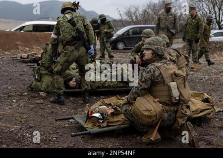 Hijudai, Japan. 19. Februar 2023. USA Marinekorpse mit der 31. Marineexpeditionstruppe und Soldaten mit dem 1. Amphibien-Schnelleinsatzregiment, Japan, bodeneigene Selbstverteidigungstruppe, führen während einer Massenübung in Hijudai, Japan am Februar bilaterale medizinische Operationen durch. 19, 2023. Das Training simulierte ein Massenunfallereignis, das dem beidseitigen medizinischen Team die Möglichkeit gab, während der Iron Fist 23 unter genau simulierten Druck und Bedingungen aktiv medizinische Versorgung vor Ort zu praktizieren. Iron Fist ist eine jährliche bilaterale Übung zur Verbesserung der Interoperabilität und Stockfoto