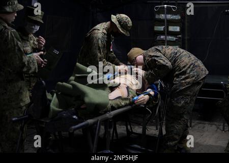 Hijudai, Japan. 18. Februar 2023. USA Marinekorpse mit der 31. Marineexpeditionstruppe und ein Soldat mit dem Amphibien-Schnelleinsatzregiment 1., Japan Ground Self-Defense Force, bewerten die Atemwege eines simulierten Verletzten während einer Massenübung in Hijudai, Japan am Februar. 18, 2023. Das Training simulierte ein Massenunfallereignis, das dem beidseitigen medizinischen Team die Möglichkeit gab, während der Iron Fist 23 unter genau simulierten Druck und Bedingungen aktiv medizinische Versorgung vor Ort zu praktizieren. Iron Fist ist eine jährliche bilaterale Übung, die darauf abzielt, die Interoperabilität zu erhöhen Stockfoto