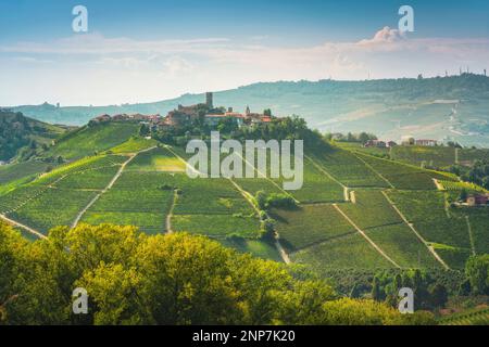 Langhe Weinberge Landschaft und Castiglione Falletto Dorf auf dem Hügel, UNESCO-Weltkulturerbe, Piemont Region, Italien, Europa. Stockfoto