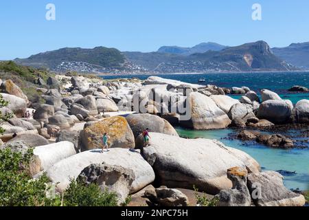 Boulders Beach, Simonstown, Kapstadt, Westkap, Südafrika. Blick auf die Aussichtsplattformen der Brutkolonie der afrikanischen Pinguine und der False Bay Stockfoto