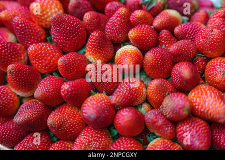 Hintergrund aus erntefrischen Erdbeeren direkt über Stockfoto