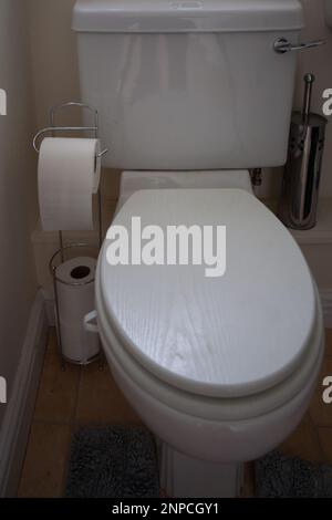 Nahaufnahme der weißen Doppelspülung mit Toilettenrollenhalter und Edelstahl-Toilettenbürste Stockfoto