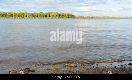 Ufer des Stadtflusses ob mit Häusern der Grossstadt Nowosibirsk, die tagsüber in Russland am Ufer gebaut werden. Stockfoto