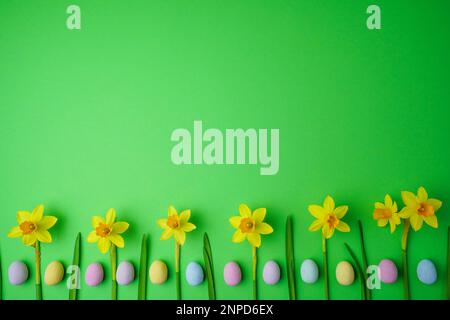 Gelbe Narzisse und ostereier auf grünem Hintergrund. Frühlings- und osterkonzept. Flach liegend, Draufsicht, Kopierbereich. Stockfoto