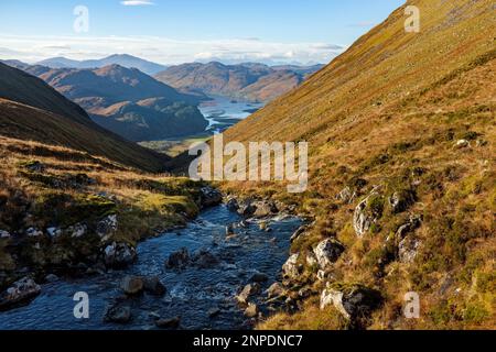 Der Allt a Choire Mhoir Bergbach fließt in Richtung Loch Long. Stockfoto