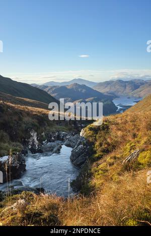 Der Allt a Choire Mhoir Bergbach fließt in Richtung Loch Long. Stockfoto