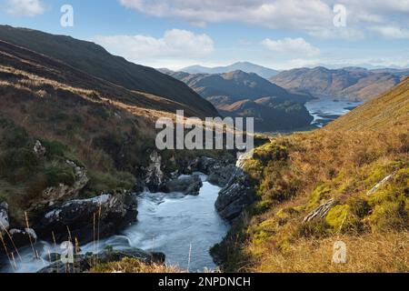 Der Allt a Choire Mhoir Bergbach fließt in Richtung Loch Long. Stockfoto