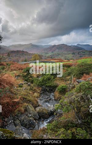 Schmaler Bach auf Black Fell bei Ambleside. Stockfoto