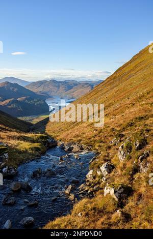 Der Allt a Choire Mhoir Bergbach fließt in Richtung Loch Long. Stockfoto