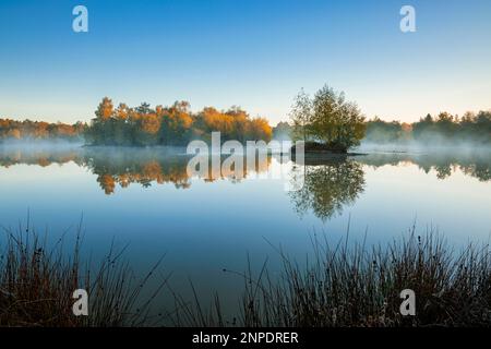 Im Besitz der Forstbehörde Woorgreens Lake in der Nähe von Cinderford. Stockfoto