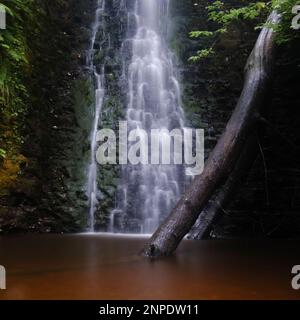 Ein Paar gefallene Baumstämme vor einem Wasserfall. Stockfoto