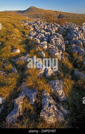 Ingleborough ist einer der berühmten Three Peaks von Yorkshire aus gesehen vom Twisleton Scar End. Stockfoto