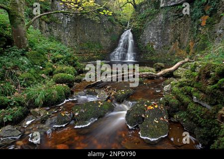 Crook Gill fällt in der Nähe von Cray in Upper Wharfedale in den Yorkshire Dales. Stockfoto