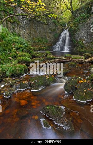 Crook Gill fällt in der Nähe von Cray in Upper Wharfedale in den Yorkshire Dales. Stockfoto