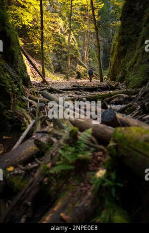 Zwei Rucksacktouristen (eine Frau mit einem kleinen Sohn) laufen entlang eines Bachs in einem Canyon des slowakischen Paradise Nationalparks in der Slowakei. Stockfoto