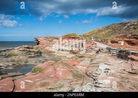 Die roten Sandsteinklippen auf Hilbre Island, die an der Mündung des Dee zu sehen sind. Stockfoto