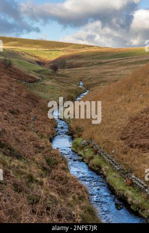 Fluss Dane fließt ein Tal hinunter in Richtung Three Shires Head im Peak District. Stockfoto