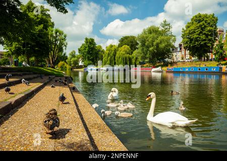 Frühlingsmittagmittag auf dem Fluss Cam in Cambridge. Stockfoto