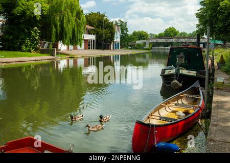 Frühlingsmittagmittag auf dem Fluss Cam in Cambridge. Stockfoto