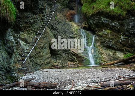 Schwieriger Pfad mit Leiter in der Nähe des Wasserfalls im Canyon des Nationalparks Slovak Paradise, Slowakei. Stockfoto