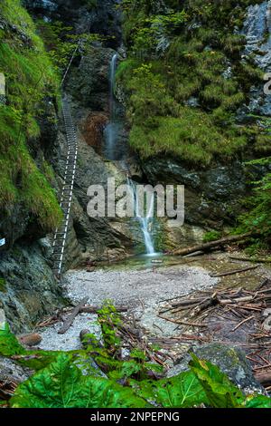 Schwieriger Pfad mit Leiter in der Nähe des Wasserfalls im Canyon des Nationalparks Slovak Paradise, Slowakei. Stockfoto