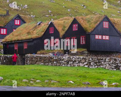 Kirkjubøur, Färöer - Oktober 2020: Typische Holzrasenhäuser mit rotem Fenster auf der Insel Streymoy., Dänemark, Nordeuropa Stockfoto