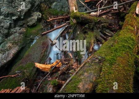 Kleine Kaskaden im slowakischen Paradise-Nationalpark. Slowakei Stockfoto