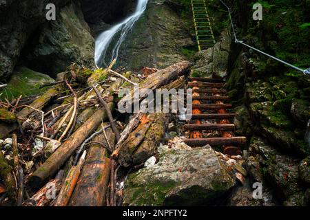 Schwieriger Pfad mit Leiter in der Nähe des Wasserfalls im Canyon des Nationalparks Slovak Paradise, Slowakei. Stockfoto