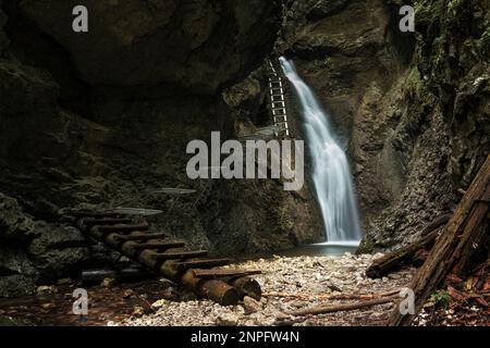 Schwieriger Pfad mit Leiter in der Nähe des Wasserfalls im Canyon des Nationalparks Slovak Paradise, Slowakei. Stockfoto