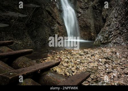 Schwieriger Pfad mit Leiter in der Nähe des Wasserfalls im Canyon des Nationalparks Slovak Paradise, Slowakei. Stockfoto