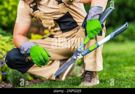 Professioneller, weißer Garten- und Landschaftsarbeiter mit großen manuellen Heckenscheren in den Händen Stockfoto