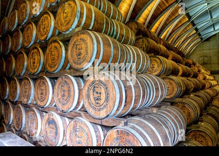 Martinique, FWI - Rhum-Fass-Lagerhaus in einer Brennerei Stockfoto