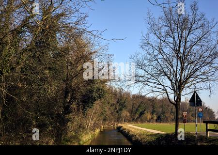 Ein Wasserstrom, der an einem sonnigen Wintertag in der italienischen Landschaft von einem Wald neben einem Kulturfeld umgeben ist Stockfoto