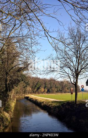 Ein Wasserstrom, der an einem sonnigen Wintertag in der italienischen Landschaft von einem Wald neben einem Kulturfeld umgeben ist Stockfoto