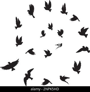 Vögel fliegen in Harmonie und machen das Zeichen der Unendlichkeit, Vektor. Darstellung der „Flying Birds“-Silhouetten isoliert auf weißem Hintergrund. Schwarz auf Weiß Stock Vektor