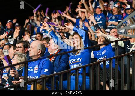 Fans und Fans von Knack Roeselare werden während des Spiels zwischen Knack Volley Roeselare und Decospan Volley Team Menen, dem Endspiel im belgischen VolleyballCup für Männer, am Sonntag, den 26. Februar 2023 in Merksem, Antwerpen, gezeigt. BELGA FOTO DAVID CATRY Stockfoto