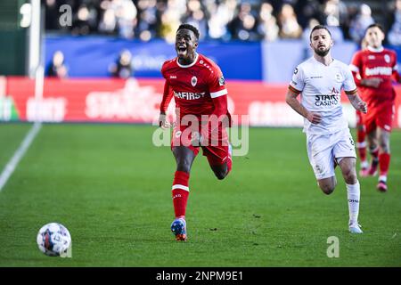 Mandela Keita aus Antwerpen wurde in Aktion während eines Fußballspiels zwischen Oud-Heverlee Leuven und dem Royal Antwerpen FC am Sonntag, den 26. Februar 2023 in Leuven, am 27. Tag der ersten Division der belgischen Meisterschaft „Jupiler Pro League“ 2022-2023, gezeigt. BELGA FOTO TOM GOYVAERTS Stockfoto