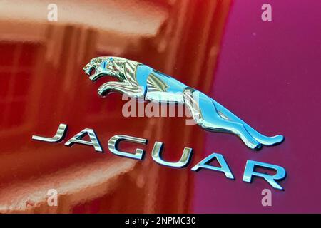 Roter Jaguar auf der Straße Stockfoto