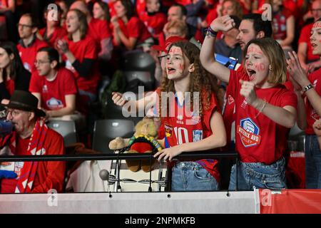 Asterix' Fans und Fans wurden während des Spiels zwischen Asterix Avo Volley Beveren und der VDK Bank Gent damesvolley, dem Endspiel im belgischen Volleyball-Pokalwettbewerb für Männer, am Sonntag, den 26. Februar 2023 in Merksem, Antwerpen, gezeigt. BELGA FOTO DAVID CATRY Stockfoto