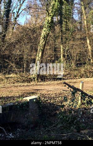 Überqueren Sie an einem Wintertag einen Pfad in einem Park über eine alte Ziegelsteintreppe neben einem winzigen trockenen Kanal in einem Wald Stockfoto