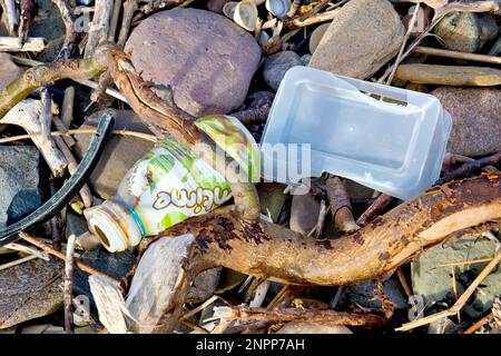 Nahaufnahme von weggeworfenen Einweg-Kunststoffbehältern, die an einem Kieselstrand angespült wurden. Stockfoto