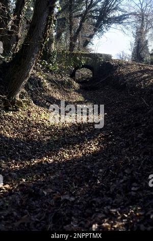 Überqueren Sie an einem Wintertag einen Pfad in einem Park über eine alte Ziegelsteintreppe neben einem winzigen trockenen Kanal in einem Wald Stockfoto