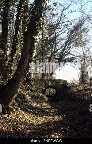 Überqueren Sie an einem Wintertag einen Pfad in einem Park über eine alte Ziegelsteintreppe neben einem winzigen trockenen Kanal in einem Wald Stockfoto