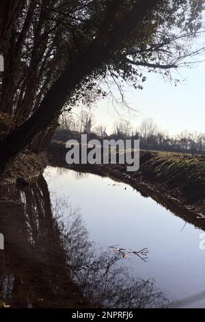 Ein Wasserstrom, der an einem sonnigen Wintertag in der italienischen Landschaft von einem Wald neben einem Kulturfeld umgeben ist Stockfoto